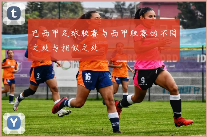 巴西甲足球联赛与西甲联赛的不同之处与相似之处