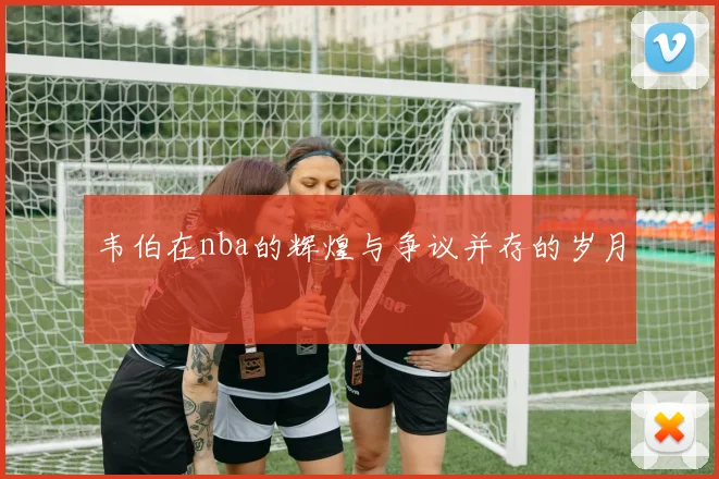 韦伯在nba的辉煌与争议并存的岁月
