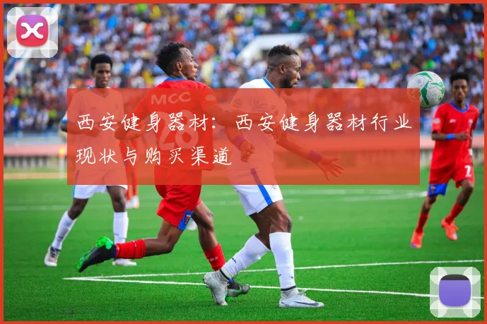 西安健身器材：西安健身器材行业现状与购买渠道