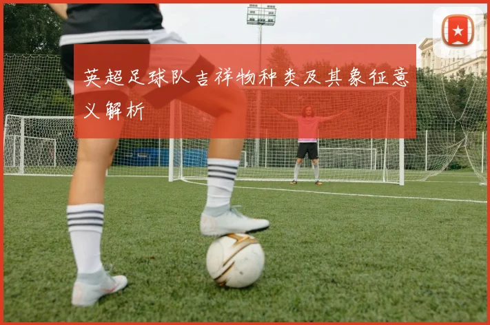 英超足球队吉祥物种类及其象征意义解析