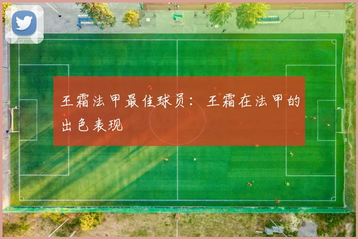 王霜法甲最佳球员：王霜在法甲的出色表现