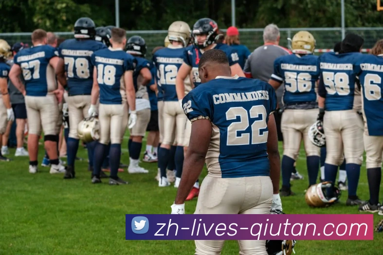 多媒体互动体验